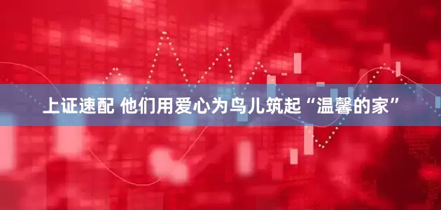 上证速配 他们用爱心为鸟儿筑起“温馨的家”