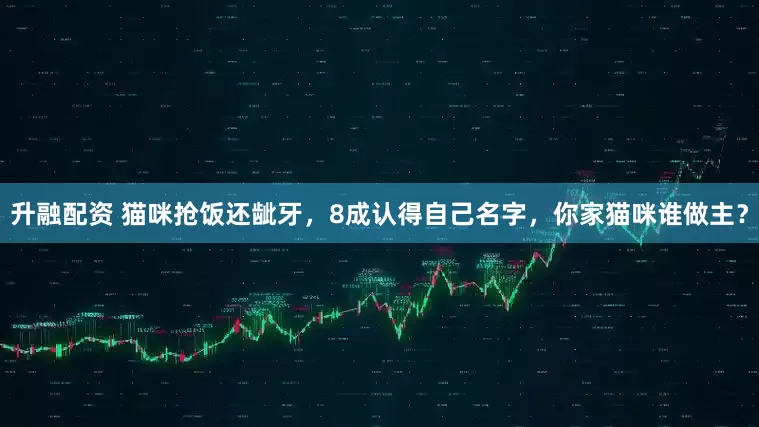 升融配资 猫咪抢饭还龇牙，8成认得自己名字，你家猫咪谁做主？