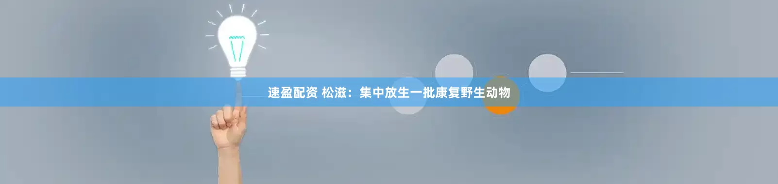 速盈配资 松滋：集中放生一批康复野生动物