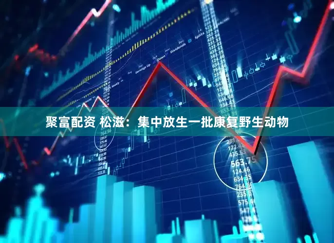 聚富配资 松滋：集中放生一批康复野生动物