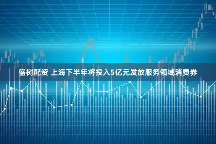 盛树配资 上海下半年将投入5亿元发放服务领域消费券