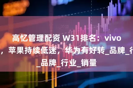 高忆管理配资 W31排名：vivo持续称霸，苹果持续低迷，华为有好转_品牌_行业_销量