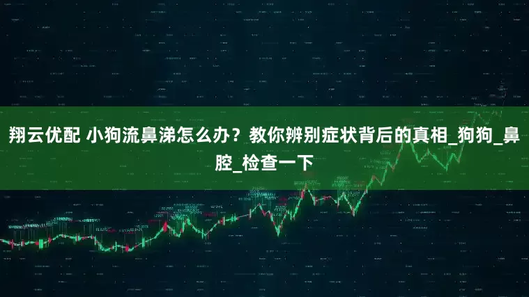 翔云优配 小狗流鼻涕怎么办？教你辨别症状背后的真相_狗狗_鼻腔_检查一下