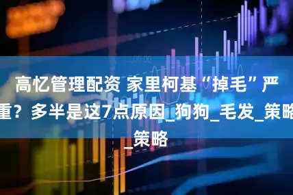 高忆管理配资 家里柯基“掉毛”严重？多半是这7点原因_狗狗_毛发_策略