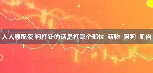 人人顺配资 狗打针的话是打哪个部位_药物_狗狗_肌肉
